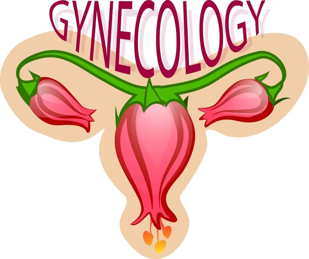 Integrative Gynecology